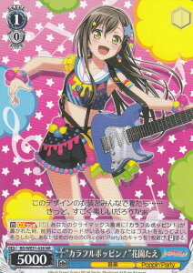 @CXV@c BD/WE31-026 gJt|bsIhԉ (NR m[}A) XyVpbN ohI K[Yohp[eBI