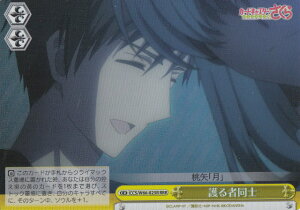 @CXV@c CCS/W66-025R ғm (RRR gvA) u[X^[pbN J[hLv^[ NAJ[h