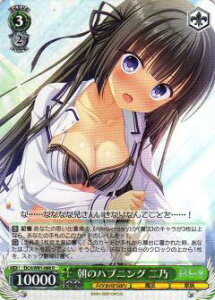 @CXV@c DC4/W81-068 ̃nvjO T (R A) u[X^[pbN T[JX 20th Anniversary