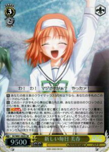 @CXV@c DC/W81-002S V t (SR X[p[A) u[X^[pbN T[JX 20th Anniversary