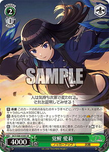 @CXV@c DCT/S86-030S o@ (SR X[p[A) u[X^[pbN D_CIDE TRAUMEREI