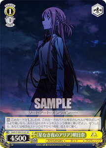 @CXV@c SAO/S100-018S sȂ̃AAt (SR X[p[A) u[X^[pbN Aj \[hA[gEIC 10th Anniversary