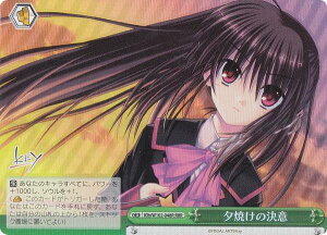 @CXV@c Klb/W102-048R [Ă̌ (RRR gvA) u[X^[pbN Key all-star