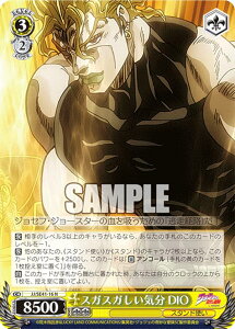 @CXV@c JJ/SE41-16 XKXKC DIO (N m[}) v~Au[X^[ / WW̊Ȗ` X^[_XgNZC_[X