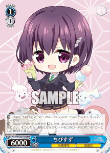 @CXV@c AYT/W110-104 т (PR v) u[X^[pbN ₩gCAO