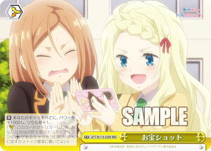 @CXV@c AYT/W110-029R Vbg (RRR gvA) u[X^[pbN ₩gCAO