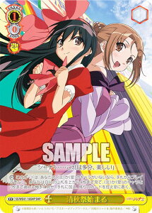 @CXV@c SS/WE41-16SHP HՎn܂ (SHP Vip) v~Au[X^[ ܊̃Vi