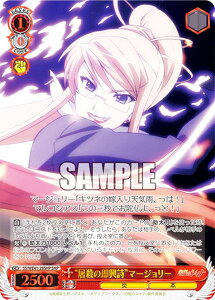 @CXV@c SS/WE41-28SHP gjȆh}[W[ (SHP Vip) v~Au[X^[ ܊̃Vi