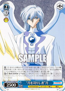 @CXV@c CCS/W113-095S gi肵ҁh (SR X[p[A) u[X^[pbN J[hLv^[ 25th Anniversary