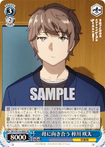 @CXV@c SBY/W114-089S Ɍ  瑾 (SR X[p[A) u[X^[pbN tu^Y V[Y