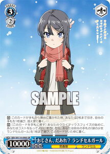 @CXV@c SBY/W114-090S AH hZK[ (SR X[p[A) u[X^[pbN tu^Y V[Y