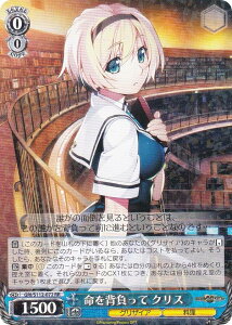 @CXV@c GRI/S112-072 w NX (RR _uA) u[X^[pbN OUCAFt@ggK[