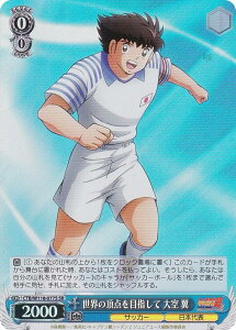 @CXV@c CTB/W118-077S E̒_ڎw   (SR X[p[A) u[X^[pbN Lve