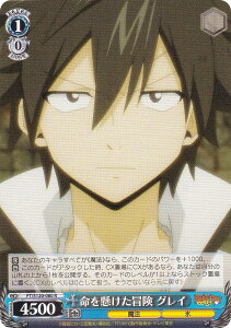 @CXV@c FT/S120-080 ` OC (R A) u[X^[pbN FAIRY TAIL 100NNGXg