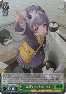 @CXV@c NIK/S117-036S gŷ{hC (SR X[p[A) u[X^[pbN ̏_FNIKKE