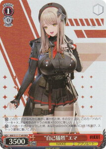 @CXV@c NIK/S117-T16R gȋ]hG} (RRR gvA) gCAfbL ̏_FNIKKE