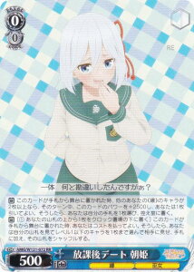 @CXV@c AMG/W121-072 یf[g P (RR _uA) u[X^[pbN Ð_񂿂̉