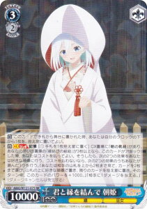 @CXV@c AMG/W121-075 NƉ P (RR _uA) u[X^[pbN Ð_񂿂̉