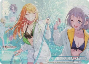 @CXV@c GIM/W124-097EX I@₽I (RRR{ gvAvX) u[X^[pbN wACh}X^[