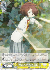 @CXV@c MKI/W126-002  m (RR _uA) u[X^[pbN qCI