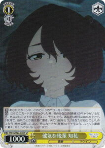 @CXV@c MKI/W126-006S CȌy m (SR X[p[A) u[X^[pbN qCI