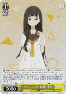 @CXV@c MKI/W126-009S p[tFNgȖ  (SR X[p[A) u[X^[pbN qCI