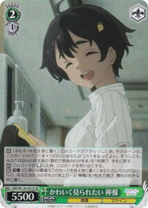 @CXV@c MKI/W126-041S 킢ꂽ EG (SR X[p[A) u[X^[pbN qCI