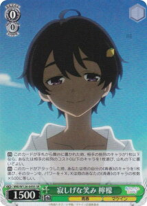 @CXV@c MKI/W126-045S ₵ȏ΂ EG (SR X[p[A) u[X^[pbN qCI