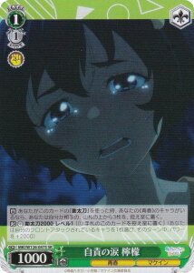 @CXV@c MKI/W126-047S ӂ̗ EG (SR X[p[A) u[X^[pbN qCI