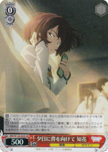 @CXV@c MKI/W126-055S [ɔw m (SR X[p[A) u[X^[pbN qCI