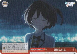 @CXV@c MKI/W126-075R ӔCƂ (RRR gvA) u[X^[pbN qCI