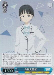 @CXV@c MKI/W126-083S nV (SR X[p[A) u[X^[pbN qCI