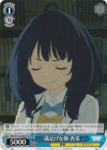 @CXV@c MKI/W126-088S Ȋ Ǎ (SR X[p[A) u[X^[pbN qCI