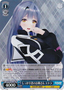 @CXV@c AOH/W127-120S ҂̂o Gg (SR X[p[A) u[X^[pbN 荂Z
