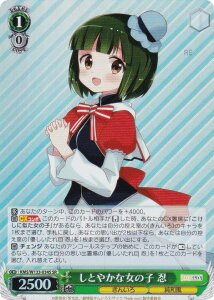 @CXV@c KMS/W133-034S Ƃ₩ȏ̎q E (SR X[p[A) u[X^[pbN 񂢂냂UCN 15th Anniversary