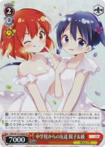 @CXV@c KMS/W133-060S wZ̗FB zq (SR X[p[A) u[X^[pbN 񂢂냂UCN 15th Anniversary