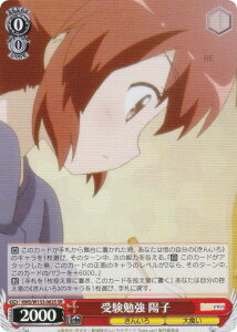 @CXV@c KMS/W133-062S 󌱕׋ zq (SR X[p[A) u[X^[pbN 񂢂냂UCN 15th Anniversary