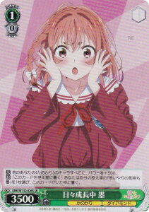 @CXV@c KNK/W132-026S X n (SR X[p[A) u[X^[pbN ޏA؂肵܂ Vol.2