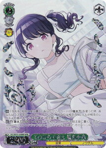 @CXV@c ISC/SE53-24WIR Ă̂Ђ̓ ۏ (WIR EBOA) v~Au[X^[ ACh}X^[ VCj[J[Y