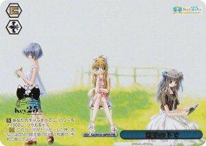 @CXV@c Kai/WE50-58PRR ċ̉ (PRR v~AA) v~Au[X^[ Key 25th Anniversary