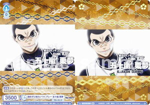 @CXV@cuE BLK/01B-053B ߂ɋ炢v[ ܏\ I (BR uEA) u[X^[pbN u[bN