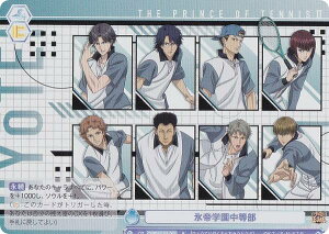 @CXV@cuE TNPR/01B-062 Xw (R A) u[X^[pbN VejX̉ql