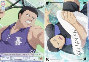 @CXV@cuE TNPR/01B-039B cmu d (BR uEA) u[X^[pbN VejX̉ql