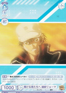 @CXV@cuE TNPR/01S-017 PN zO[} (SD) X^[gfbL VejX̉ql