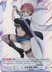 @CXV@cuE AOEX/01B-043 ꋉPt BV (RR _uA) u[X^[pbN PtV[Y ([Е/mʕ/I)