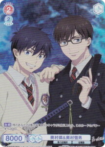 @CXV@cuE AOEX/01B-039CP &j (CP RNVp) u[X^[pbN PtV[Y ([Е/mʕ/I)