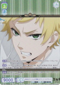 @CXV@cuE KSJ/01B-008CP ēO[q̗ Gh[hE~bhtH[h (CP RNVp) u[X^[pbN TVAj  -hwZ-