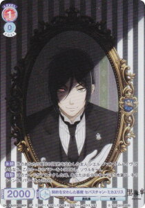 @CXV@cuE KSJ/01B-028CP _킵 ZoX`E~JGX (CP RNVp) u[X^[pbN TVAj  -hwZ-