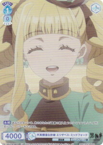 @CXV@cuE KSJ/01B-060CP V^ࣖȋ GUxXE~bhtH[h (CP RNVp) u[X^[pbN TVAj  -hwZ-