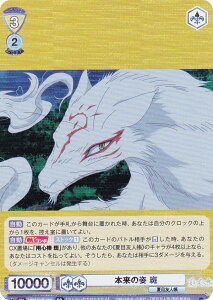 @CXV@cuE NTM/01B-003 {̎p  (RR _uA) u[X^[pbN ĖڗFl